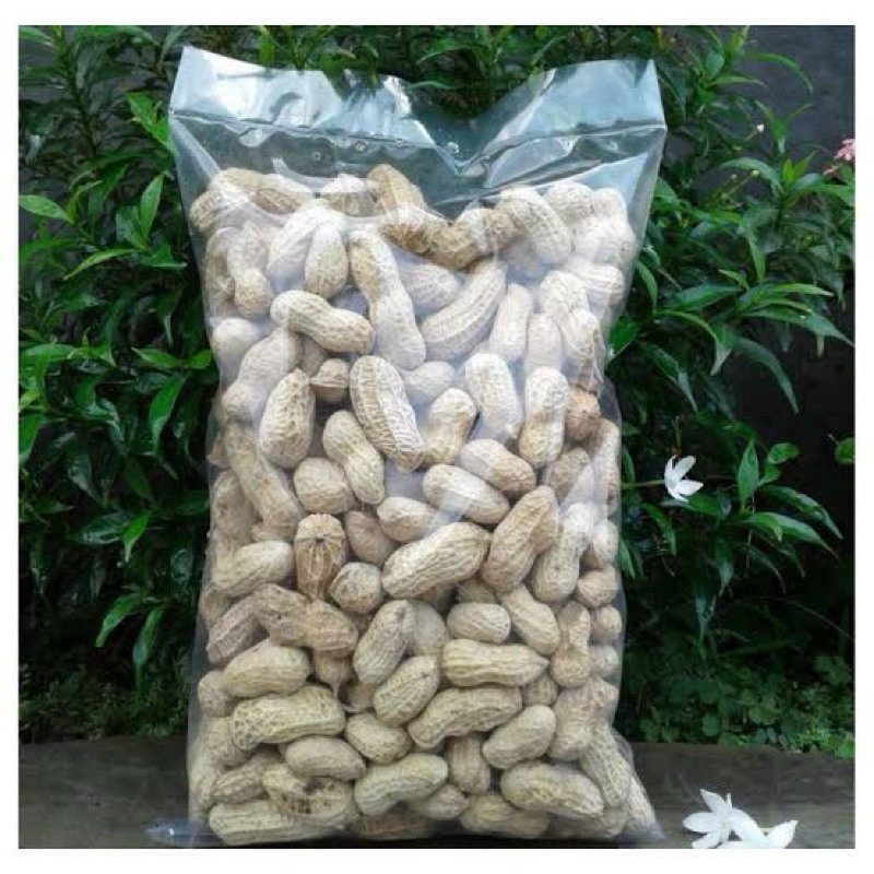

Kacang kulit asin asli brebes 500gram