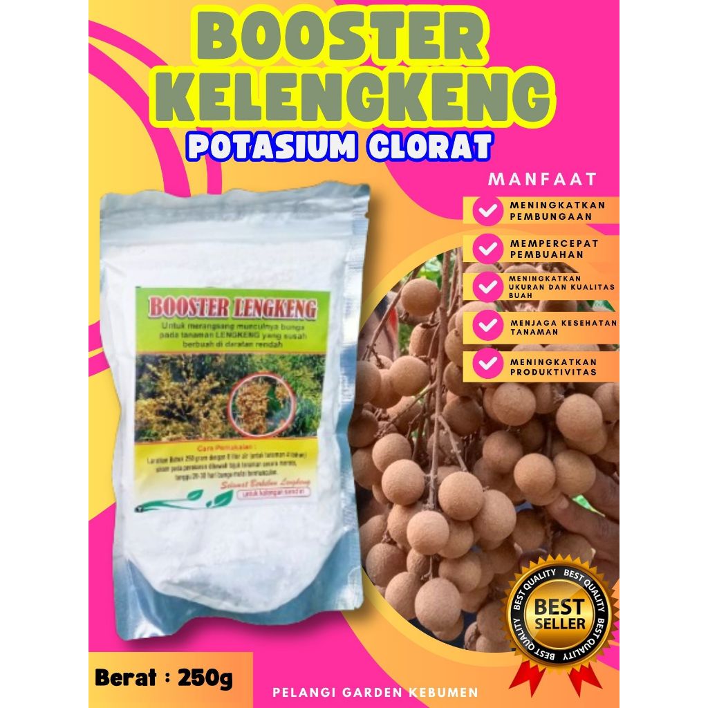 KUALITAS TERBAIK  Booster Kelengkeng Matalada Berbuah, Booster Kelengkeng Merah Cangkok Berbuah, Boo