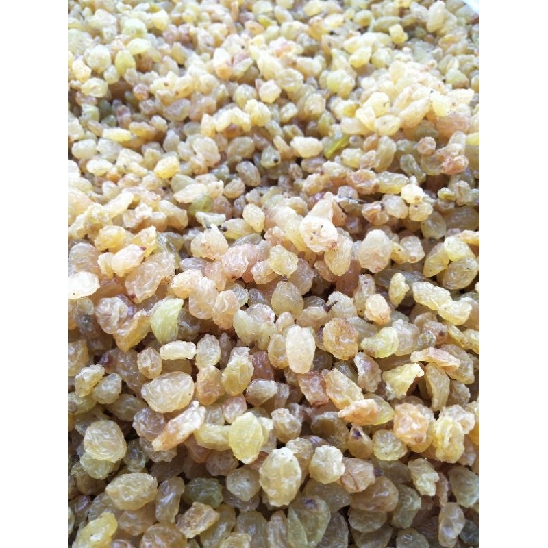 

Kismis Simin Premium Manis | Kismis Mutiara Manis | Oleh Oleh Haji