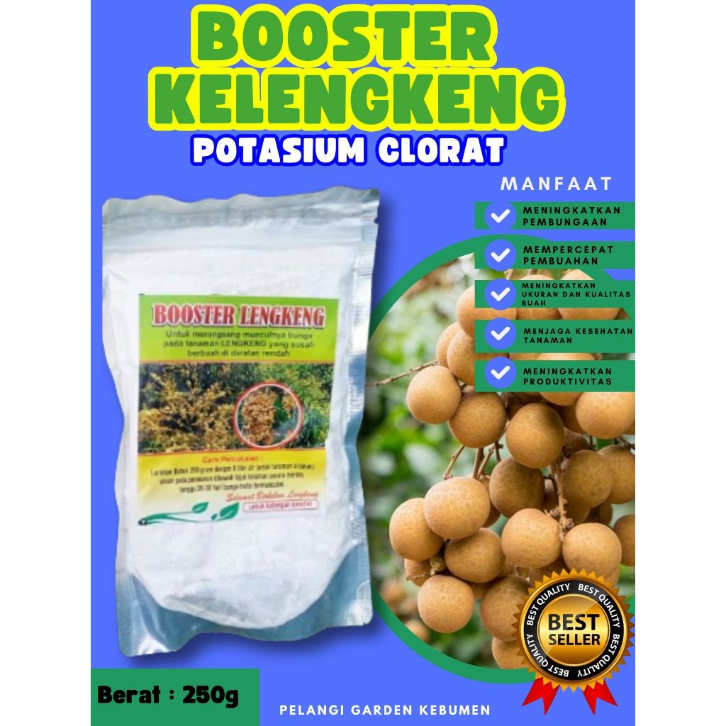 UNGGULAN  Pupuk Buah Kelengkeng Super, Pupuk Buah Kelengkeng Sudah Berbunga, Pupuk Buah Kelengkeng S
