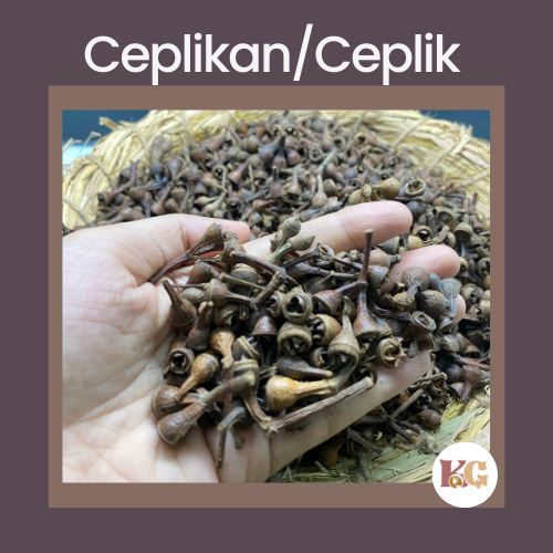 

Ceplikan/Ceplik Sari Kering Herbal Rempah