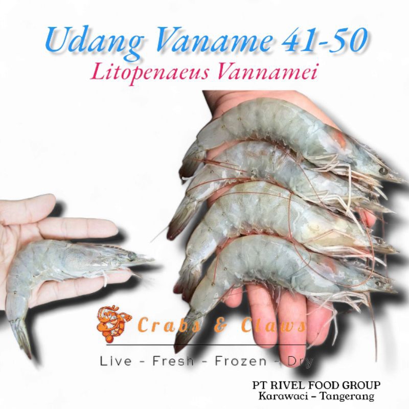 

Udang Vaname AK 41-50 Fresh Frozen 1pack (1kg)