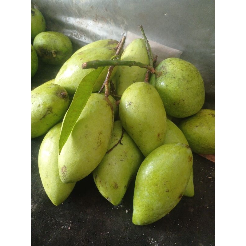 mangga muda golek madu keraton 1kg ,mangga golek asam