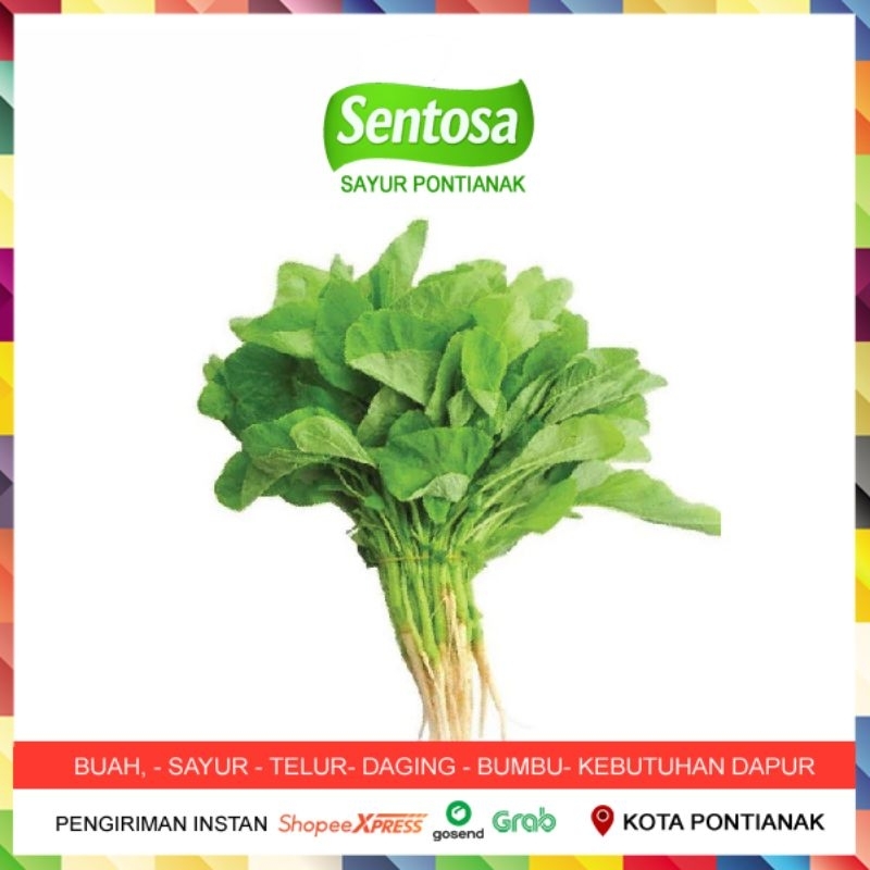 

Bayam Per Ikat Sentosa Sayur Pontianak