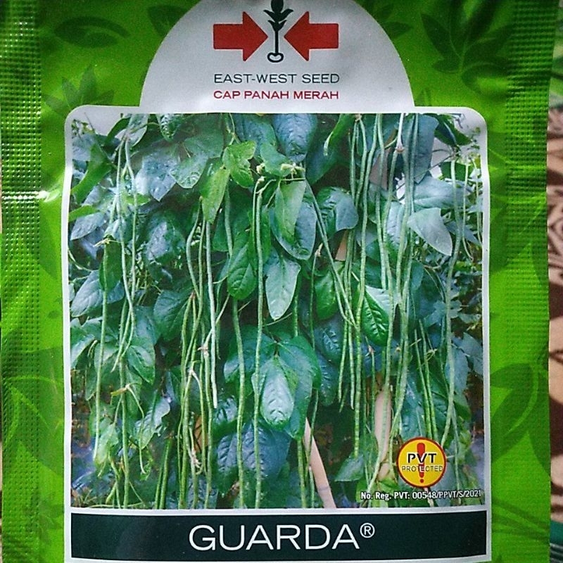 Bibit Kacang Panjang Guarda Cap Panah Merah