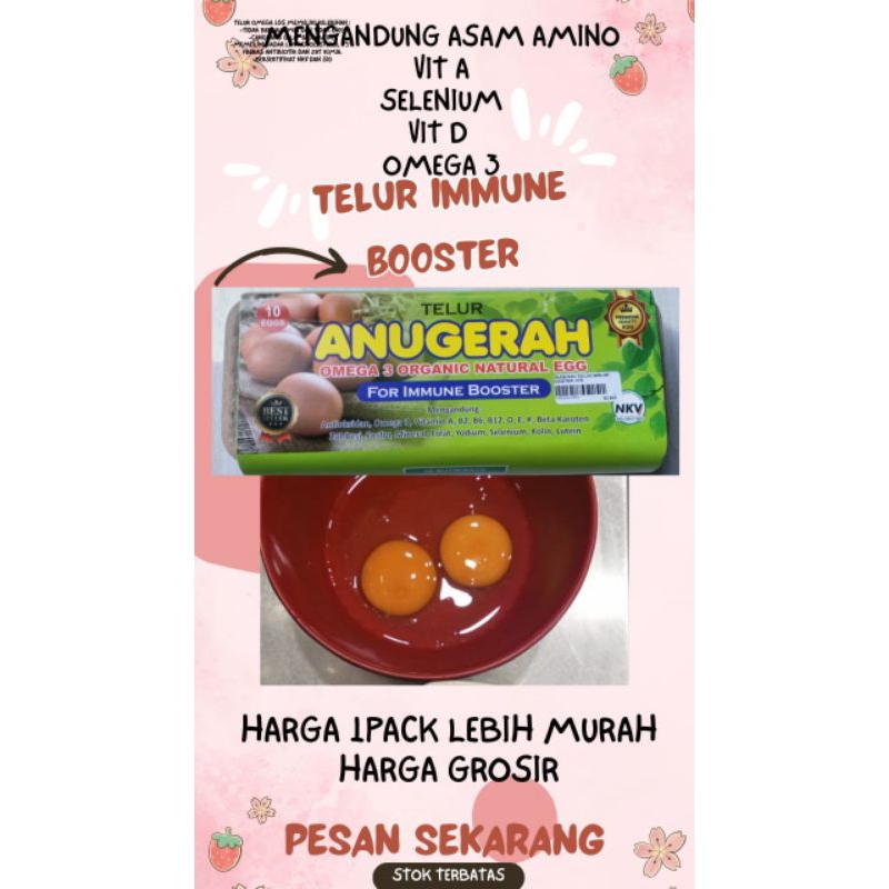 

PROMO TELUR IMMUNE BOOSTER 2PACK/20 BUTIR