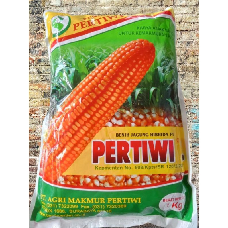 

Benih Jagung Pertiwi 1