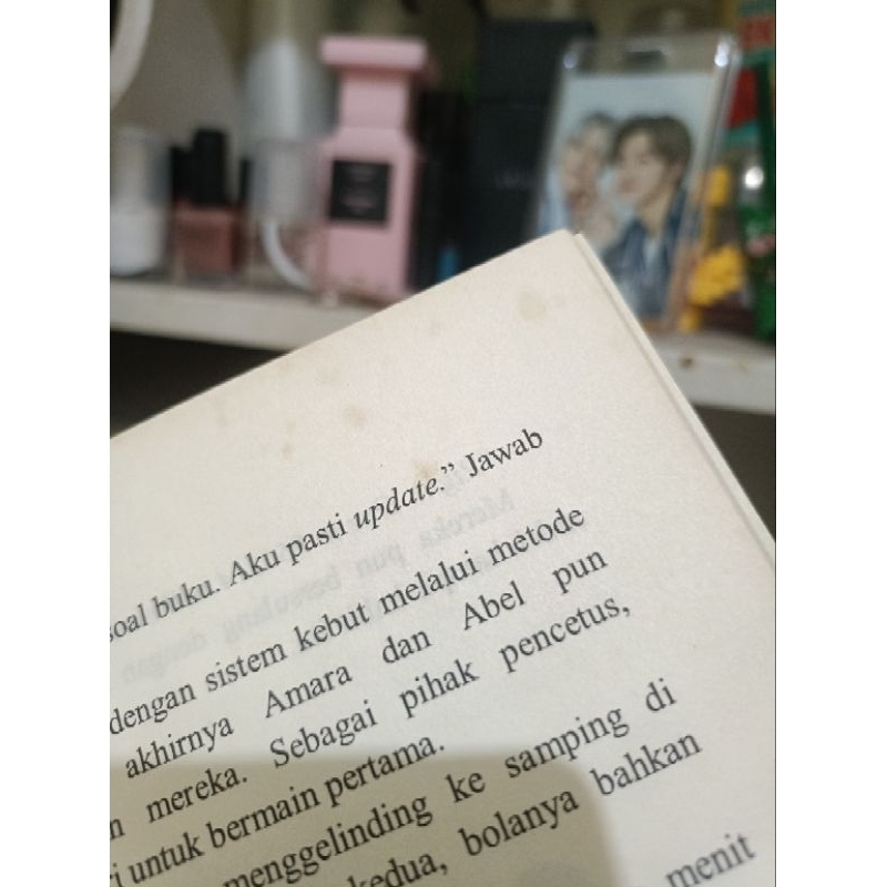 preloved novel butterflies by ale