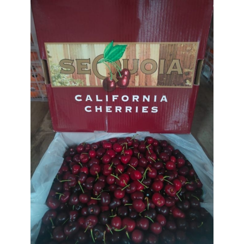 Buah Ceri Merah Import Fresh 1 Kg