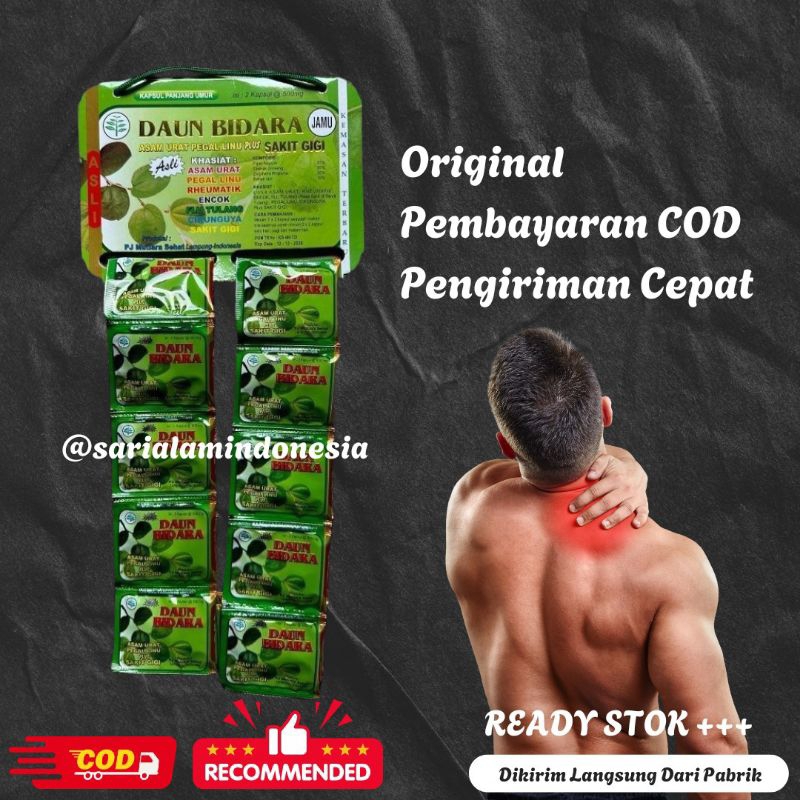 

Daun Bidara Kapsul Herbal Asam Urat Pegal Linu Isi 20 Sachet
