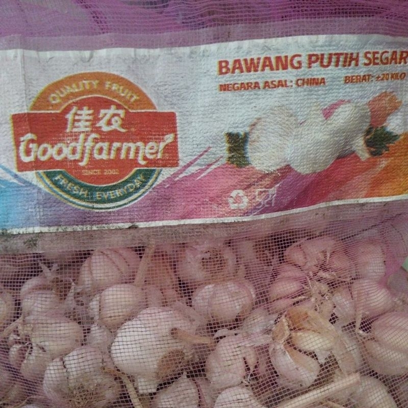 

Bawang Putih Promo Segar 250gr/500gr/1kg