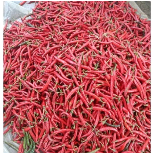 

1 Kg Cabe Merah Besar Segar/ Cabai Tw Besar Merah 500 gram