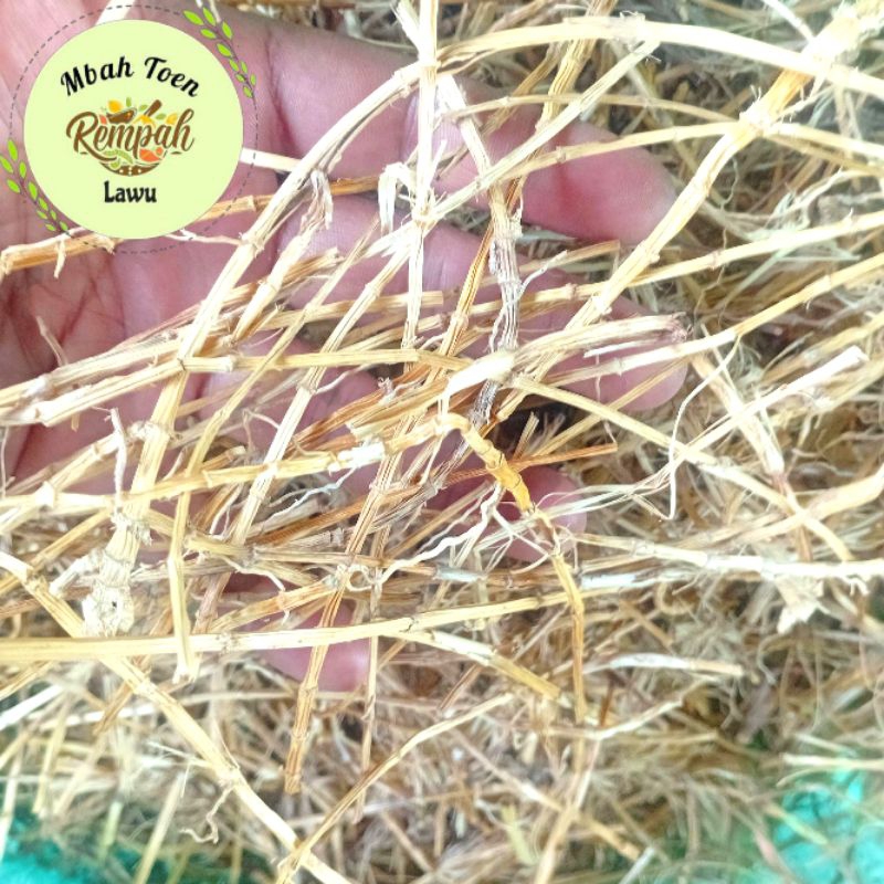 

Akar Alang2 Kering 1kg.Obat Ginjal