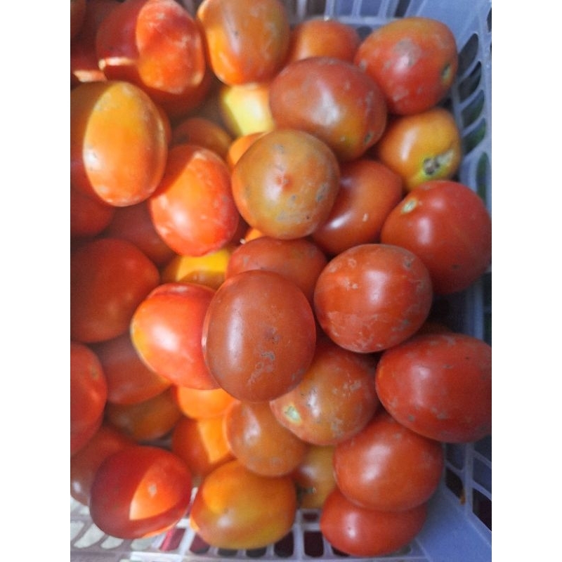 

TOMAT SEGAR 250GRAM
