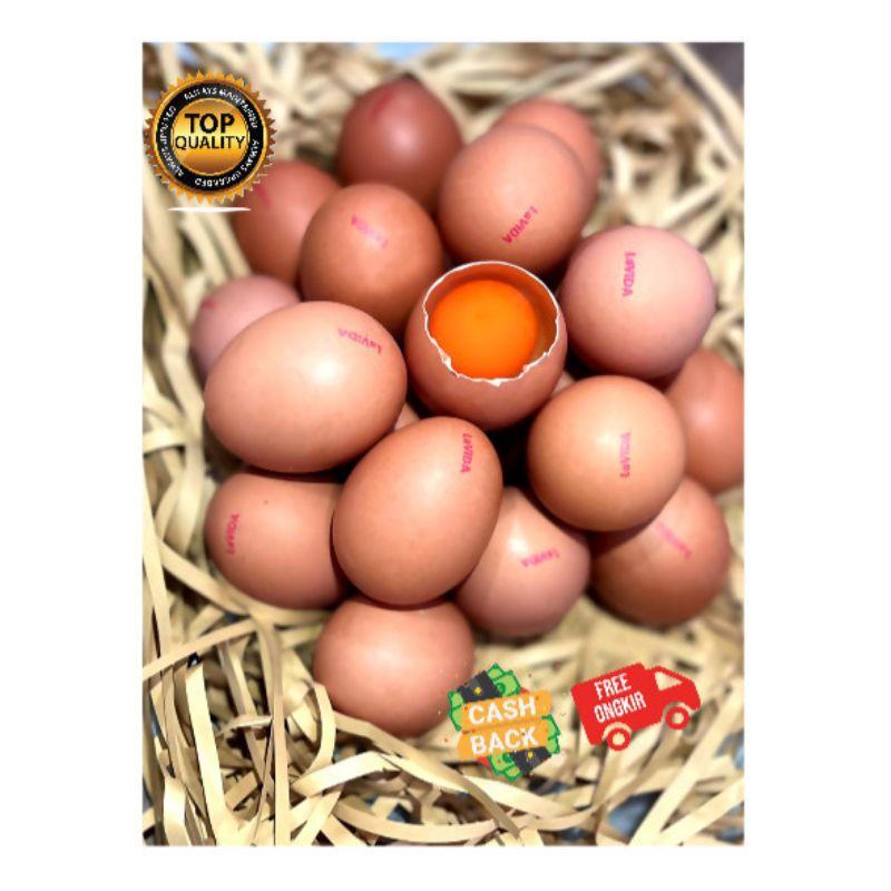 

hyk Telur omega 3 1 tray (30 BUTIR UKURAN BESAR)