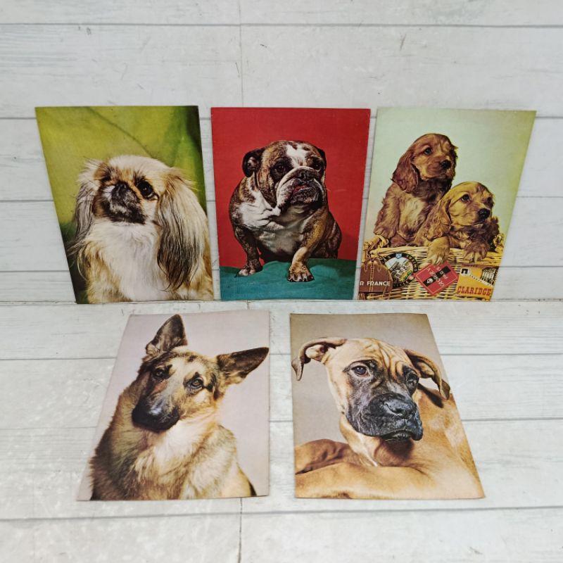 

Paket 5 Pcs Post Card Kartu Pos Import