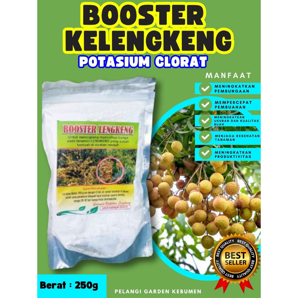 TERBAIK  Boster Kelengkeng Aroma Durian, Boster Kelengkeng Bubuk, Boster Kelengkeng Berbuah