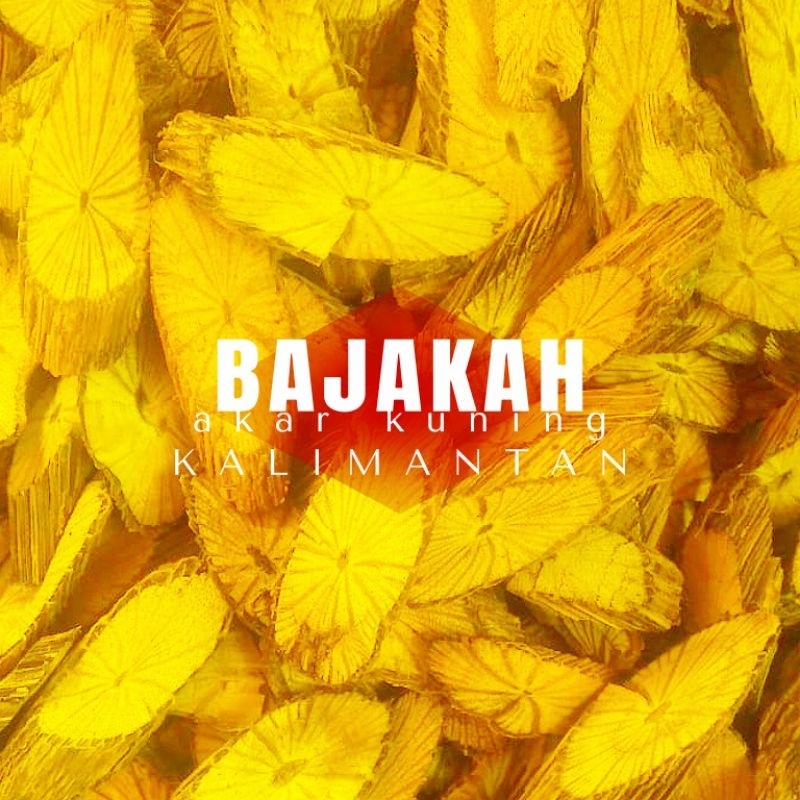 

kayu bajakah akar kuning kalimantan 1kg - bonus 10 pcs teh bajakah merah