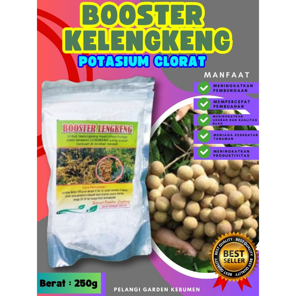 KUALITAS TERBAIK  Booster Buah Kelengkeng Murni 1Kg, Booster Buah Kelengkeng Merah