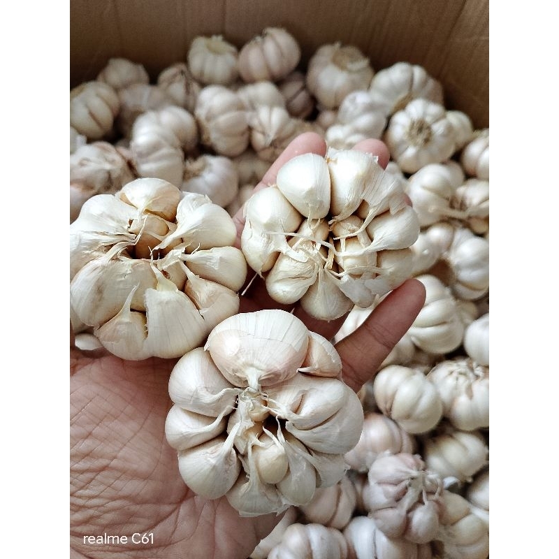 

Bawang Putih Bersih 500 gram