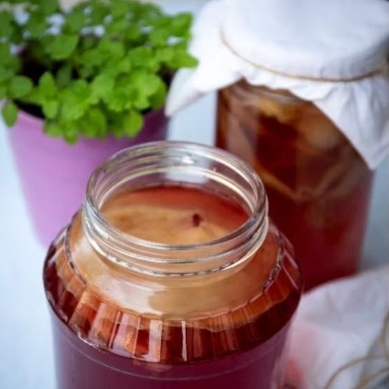 

Starter Kombucha 250ml dan Scoby