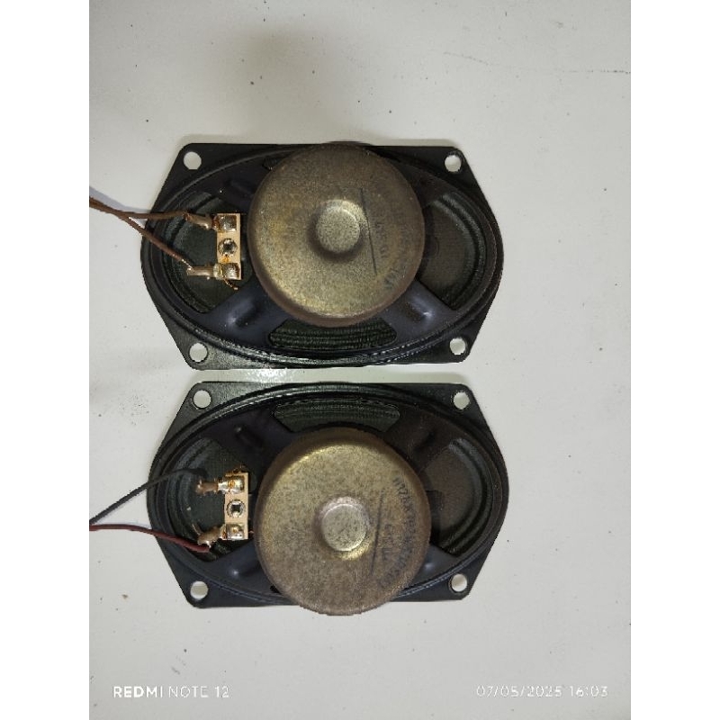 Speaker TV Polytron Oval