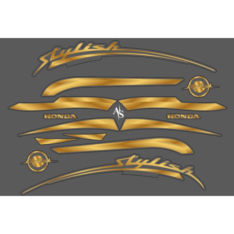 STRIPING TRANSPARAN SCOOPY STYLISH