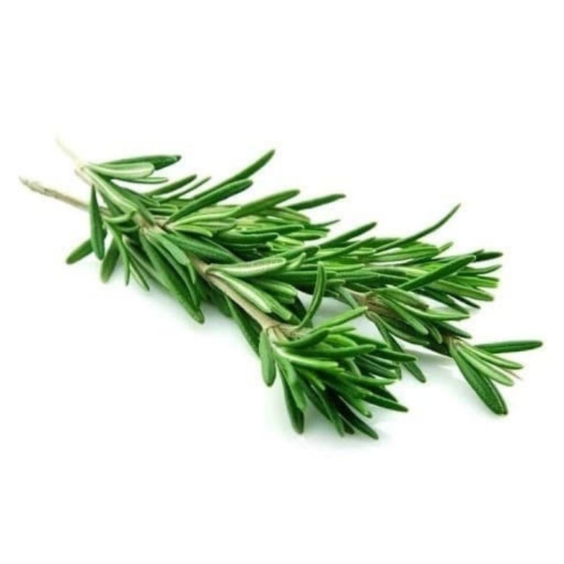 

daun rosmary 50gr