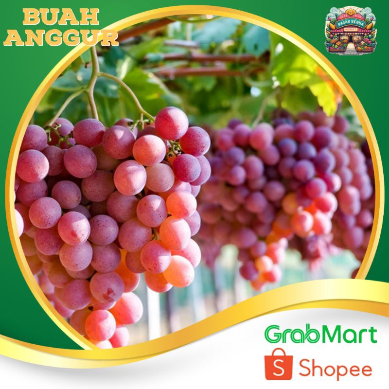 Buah Anggur ~ Murah  Pasar Induk Daring