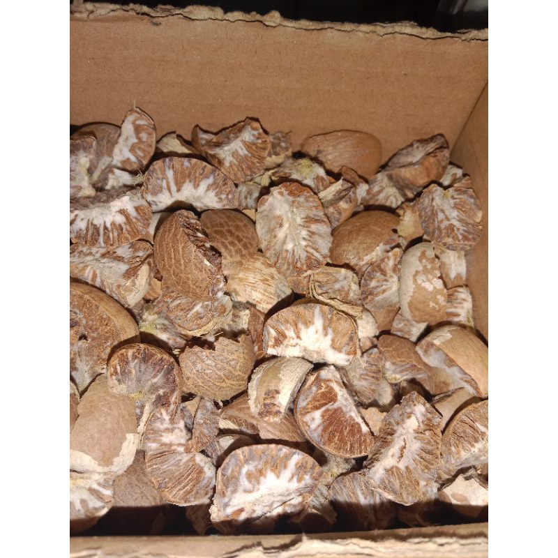 

Pinang Tua Kering 1 kg 20.000