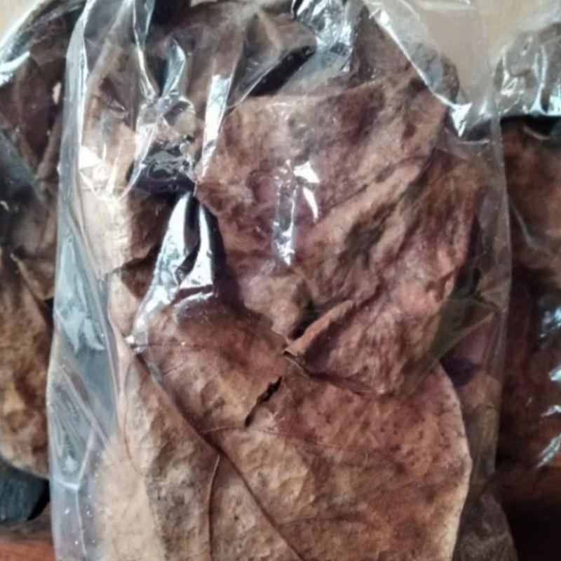 

Daun Ketapang kering 100% original 250 gram