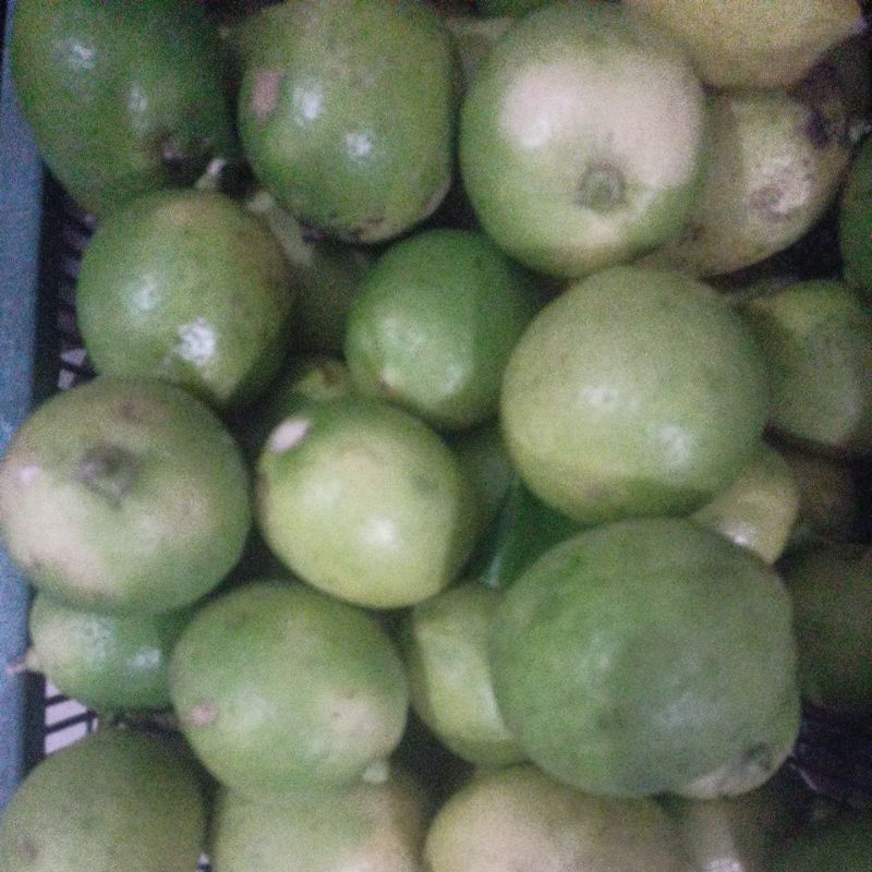 

Jeruk Lemon untuk minuman segar, diet juga bisa untuk mencuci alat dapur biar tidak amis .