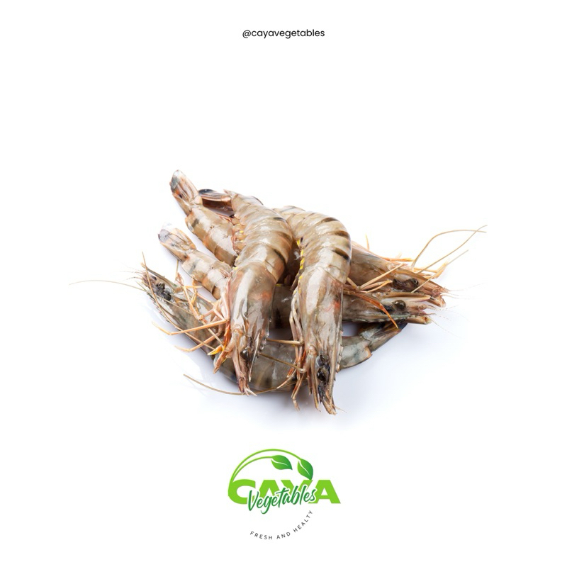 

Udang Windu / Udang Tiger Frozen Fresh | CayaVegetables