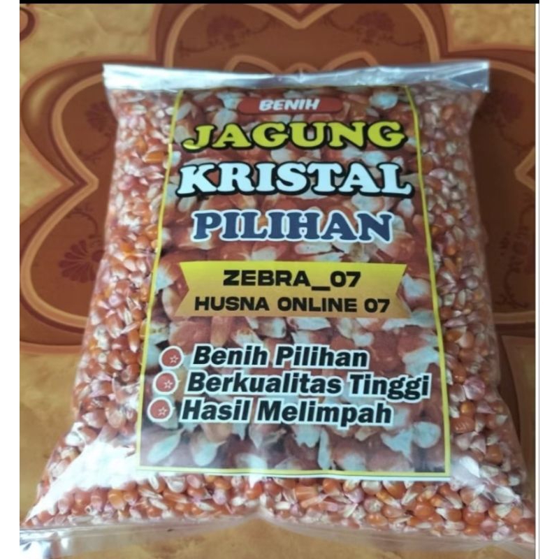 1 KG BENIH BIJI JAGUNG KRISTAL SUPER