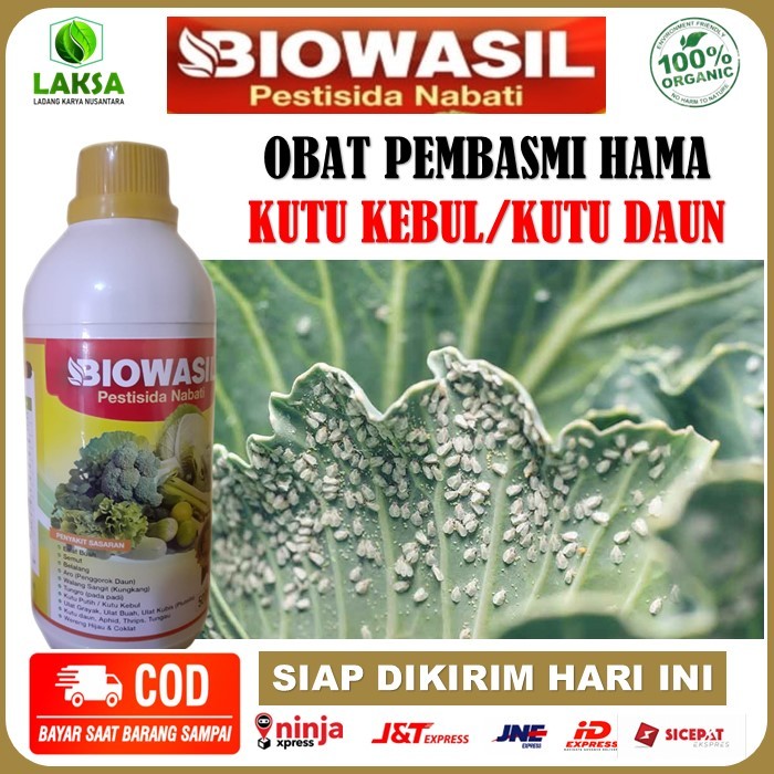 BIOWASIL Pestisida Nabati Pembasmi hama kutu daun & Kutu Putih - Obat semprot atasi hama kutu kebul,