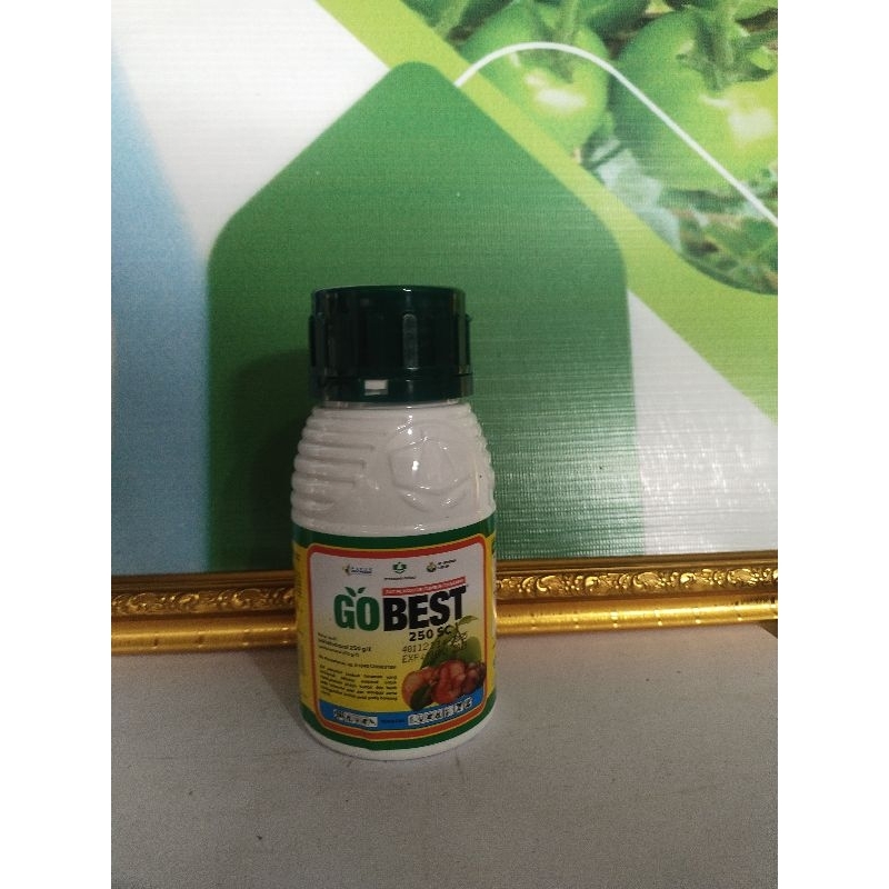 Gobest100ML