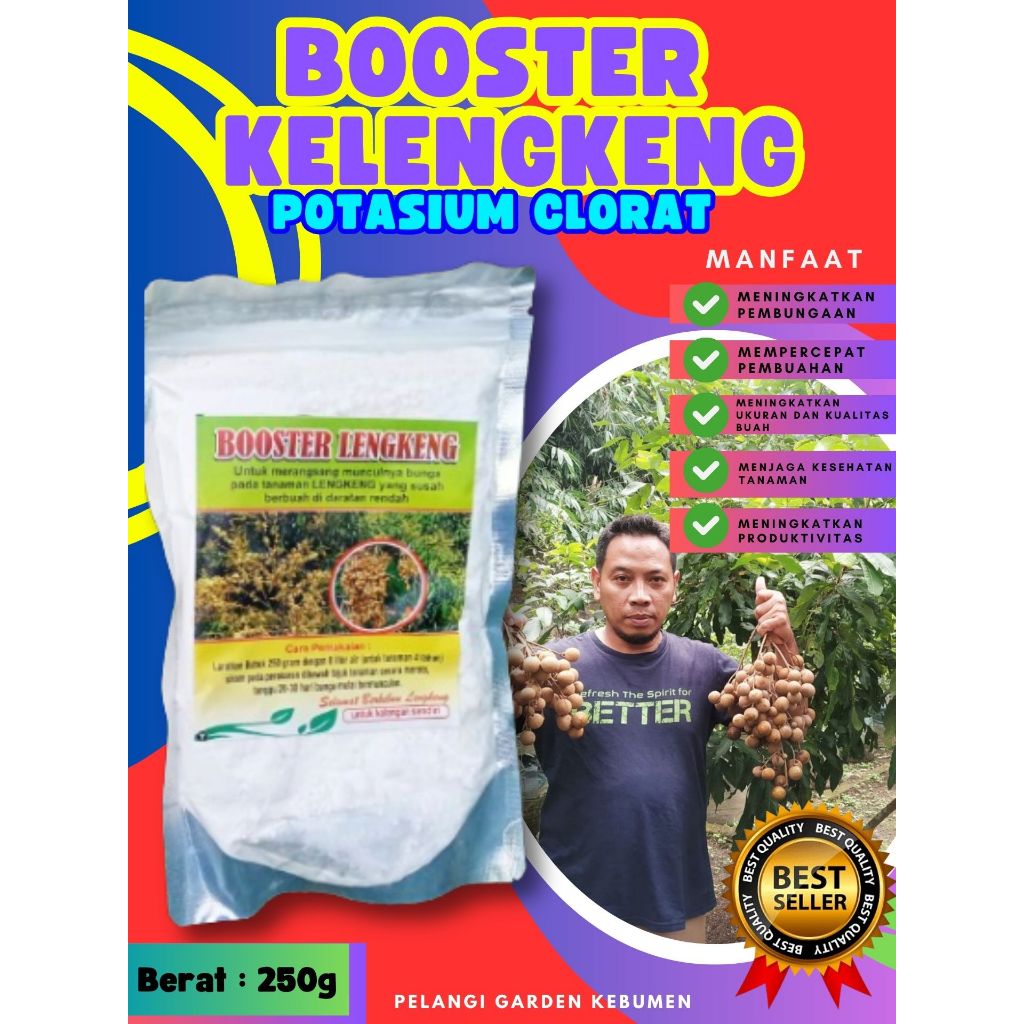 PALING LARIS  Booster Kelengkeng Merah, Booster Kelengkeng Matalada Berbuah