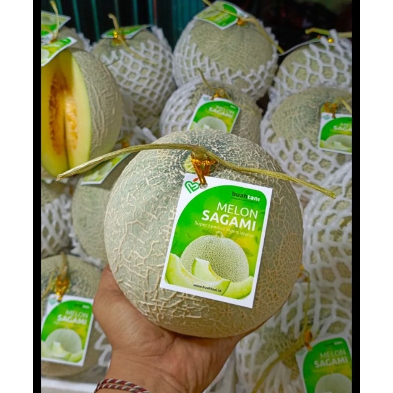 

melon sagami manis
