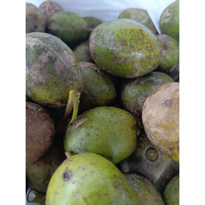 

buah kedondong segar fresh 1.kilo gram