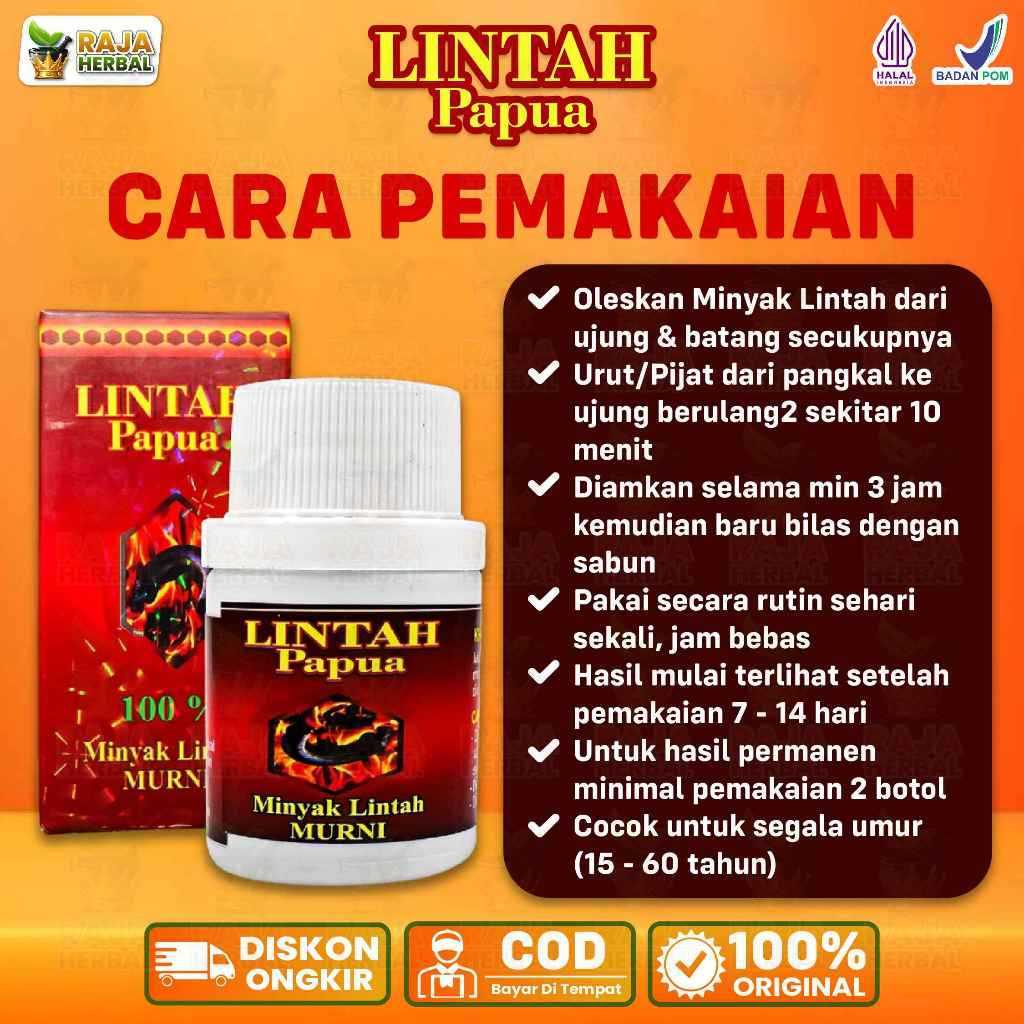 lintah merah papua 100% original