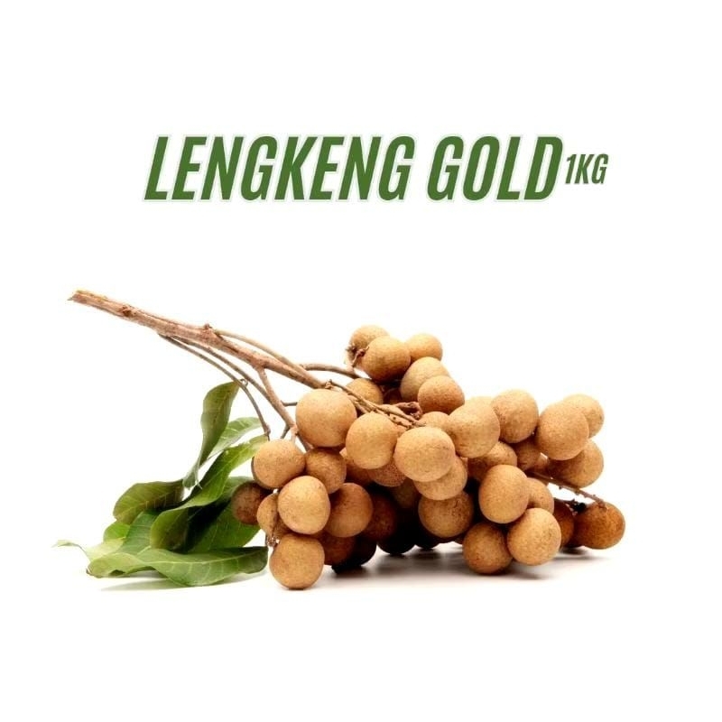 lengkeng bangkok |lengkeng gold 1kg