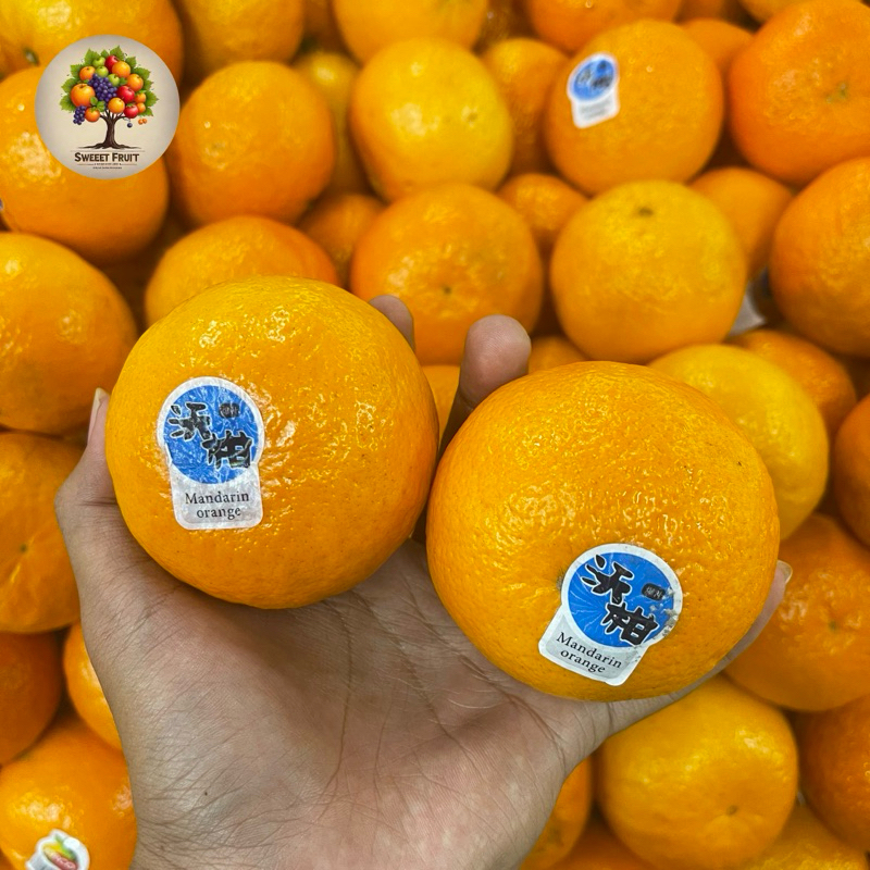 

Jeruk wogan mandarin orange fresh 1kg