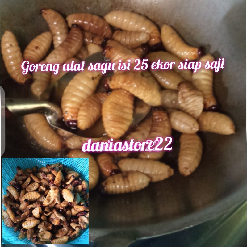 

Goreng Ulat Sagu Isi 25 Ekor Siap Saji