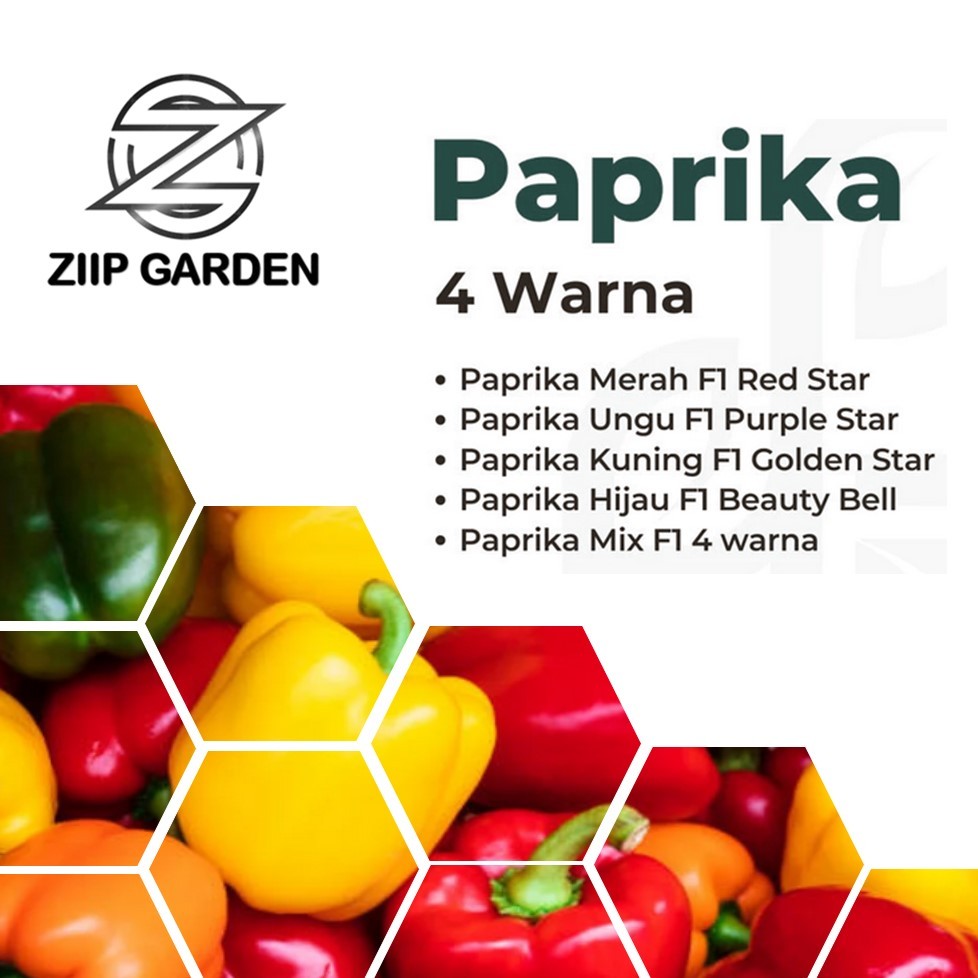 Bibit Benih Paprika F1 Hibrida Varian Sayuran Unggulan