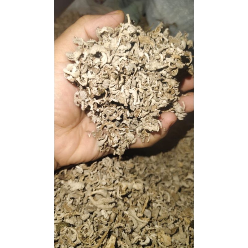 

500GR JAMUR GERIGIT KERING AMAN KRSELURIH INDONESIA