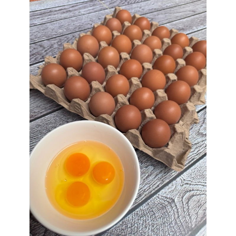 

Telur Omega 3