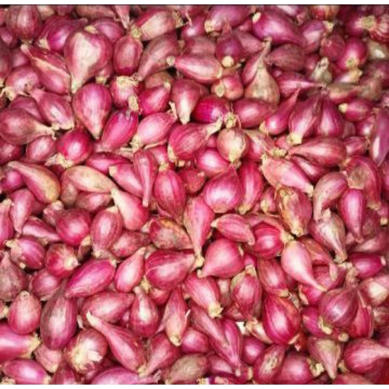 

Bawang merah KECIL / bawang merah 1kg/ bawang terlaris super fresh