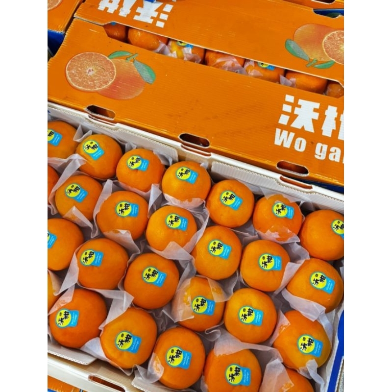 

Jeruk Wogam kardus 8 kg