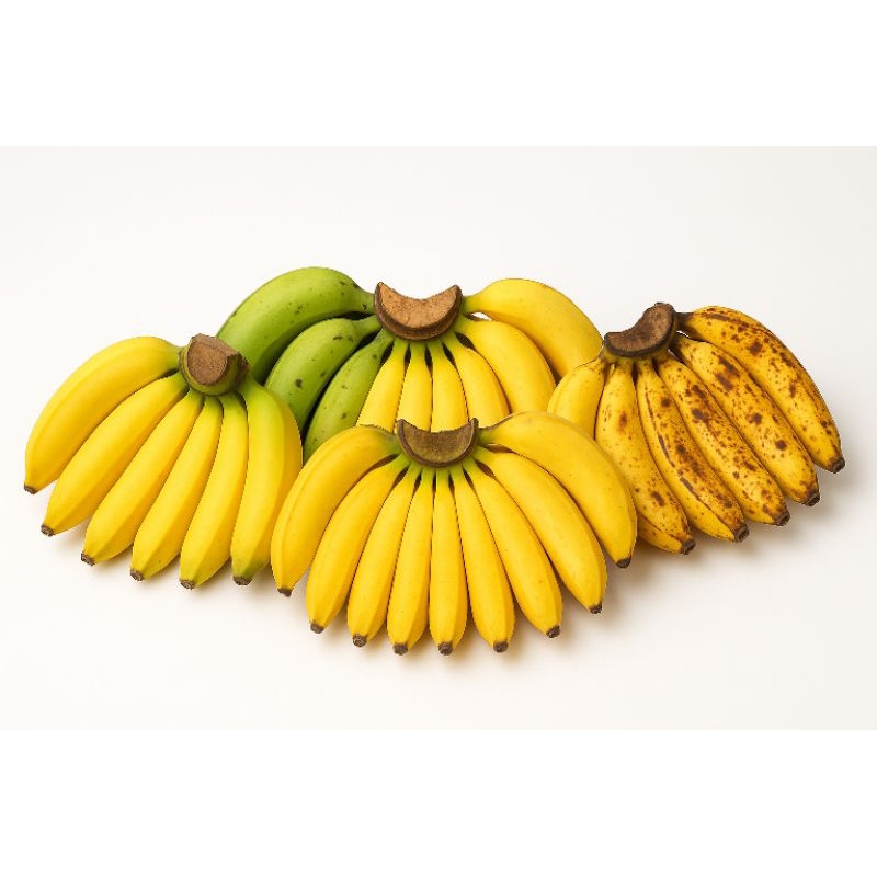 

Pisang Kepok | Pisang Ambon | Pisang Raja | Pisang Nangka | Harga Per sisir Kualitas super