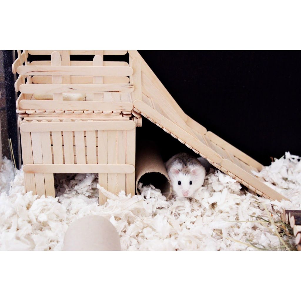 Mainan Rumah Hamster Stik Rakit Sendiri Murah